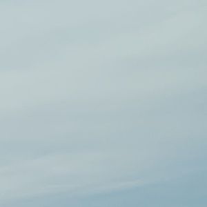 Meet your Posher, Amberly